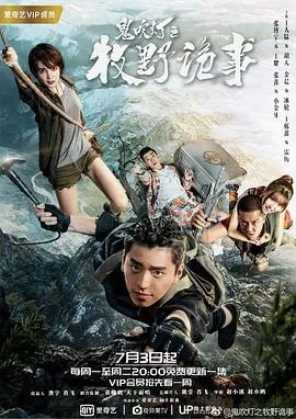 迷幻年代：爱与瘾